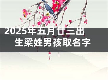 2025年五月廿三出生梁姓男孩取名字