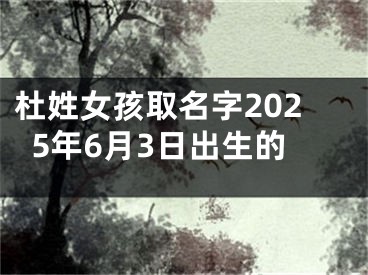 杜姓女孩取名字2025年6月3日出生的