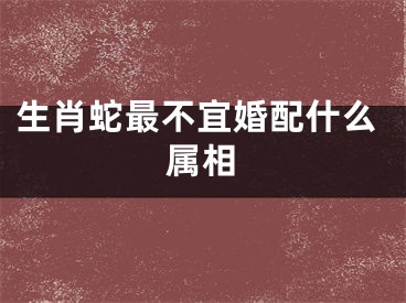 生肖蛇最不宜婚配什么属相