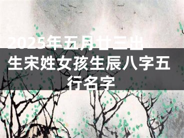2025年五月廿三出生宋姓女孩生辰八字五行名字