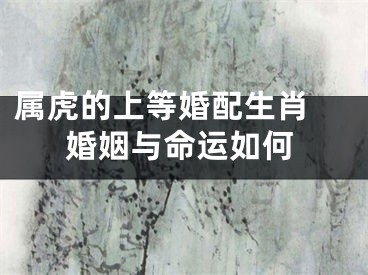 属虎的上等婚配生肖 婚姻与命运如何