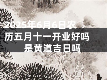 2025年6月6日农历五月十一开业好吗 是黄道吉日吗