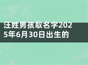 汪姓男孩取名字2025年6月30日出生的
