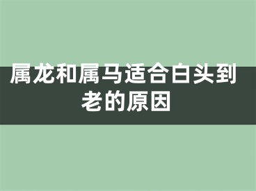 属龙和属马适合白头到老的原因