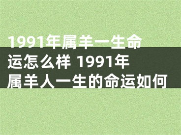 1991年属羊一生命运怎么样 1991年属羊人一生的命运如何