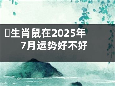 ​生肖鼠在2025年7月运势好不好