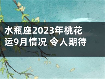 水瓶座2023年桃花运9月情况 令人期待