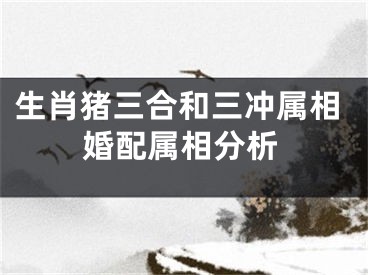 生肖猪三合和三冲属相婚配属相分析