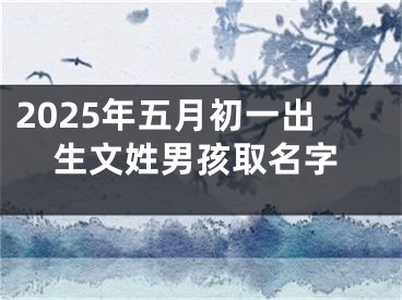 2025年五月初一出生文姓男孩取名字