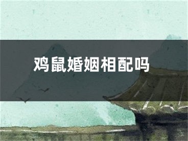 鸡鼠婚姻相配吗