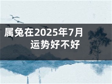 属兔在2025年7月运势好不好