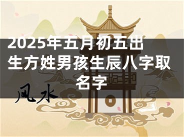 2025年五月初五出生方姓男孩生辰八字取名字