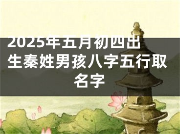 2025年五月初四出生秦姓男孩八字五行取名字