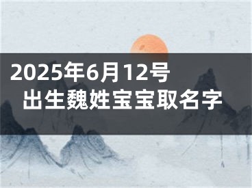 2025年6月12号出生魏姓宝宝取名字