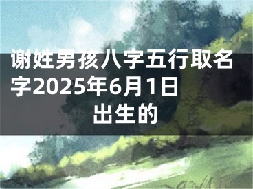 谢姓男孩八字五行取名字2025年6月1日出生的