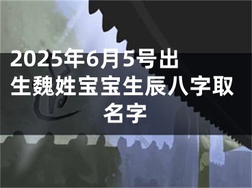 2025年6月5号出生魏姓宝宝生辰八字取名字
