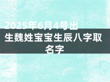 2025年6月4号出生魏姓宝宝生辰八字取名字
