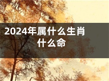 2024年属什么生肖 什么命