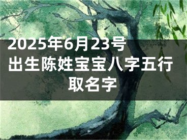 2025年6月23号出生陈姓宝宝八字五行取名字
