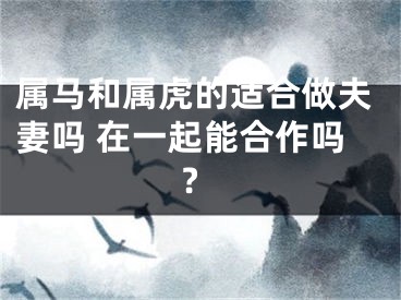 属马和属虎的适合做夫妻吗 在一起能合作吗?