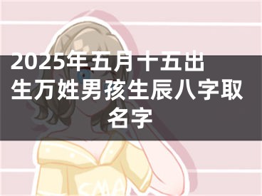 2025年五月十五出生万姓男孩生辰八字取名字