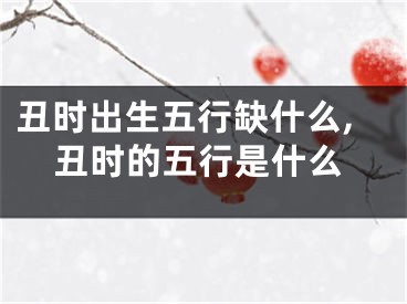 丑时出生五行缺什么,丑时的五行是什么