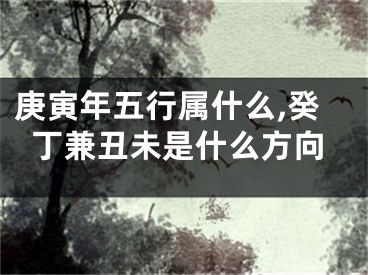 庚寅年五行属什么,癸丁兼丑未是什么方向