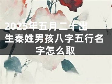 2025年五月二十出生秦姓男孩八字五行名字怎么取
