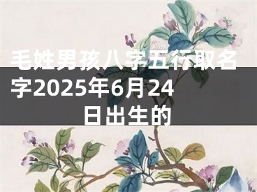 毛姓男孩八字五行取名字2025年6月24日出生的