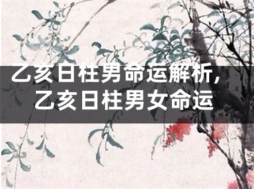 乙亥日柱男命运解析,乙亥日柱男女命运