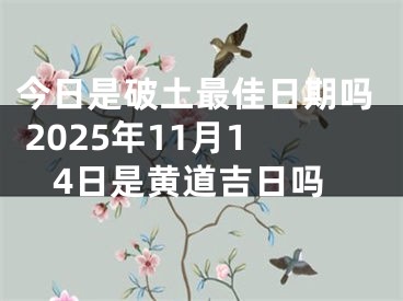今日是破土最佳日期吗 2025年11月14日是黄道吉日吗