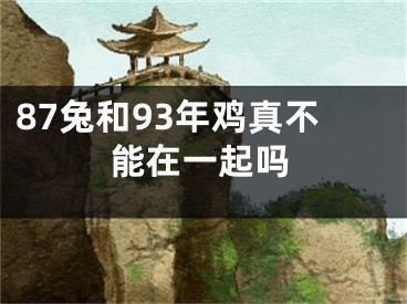 87兔和93年鸡真不能在一起吗