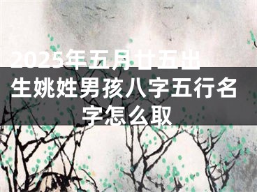 2025年五月廿五出生姚姓男孩八字五行名字怎么取