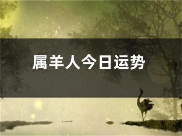 属羊人今日运势