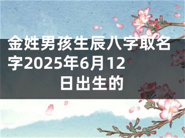 金姓男孩生辰八字取名字2025年6月12日出生的