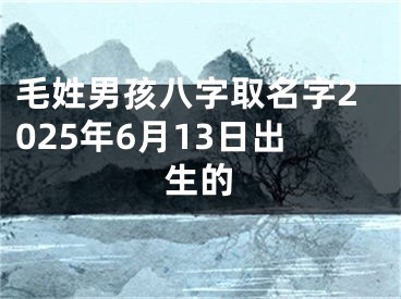 毛姓男孩八字取名字2025年6月13日出生的