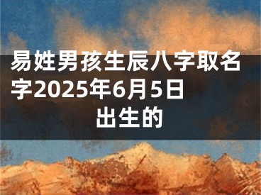 易姓男孩生辰八字取名字2025年6月5日出生的