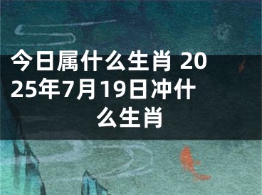 今日属什么生肖 2025年7月19日冲什么生肖