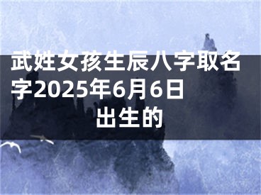 武姓女孩生辰八字取名字2025年6月6日出生的