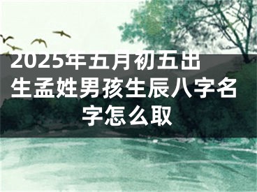 2025年五月初五出生孟姓男孩生辰八字名字怎么取
