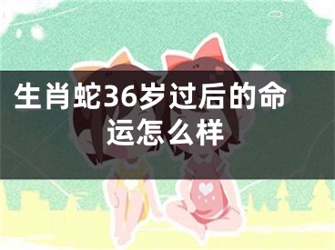 生肖蛇36岁过后的命运怎么样
