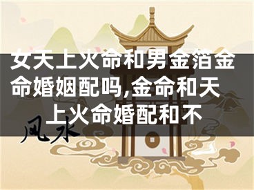 女天上火命和男金箔金命婚姻配吗,金命和天上火命婚配和不