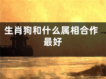 生肖狗和什么属相合作最好