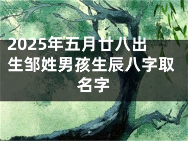 2025年五月廿八出生邹姓男孩生辰八字取名字