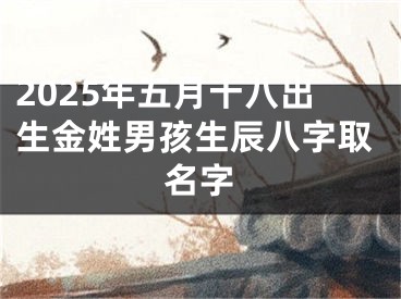 2025年五月十八出生金姓男孩生辰八字取名字