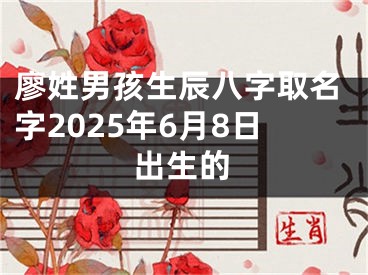 廖姓男孩生辰八字取名字2025年6月8日出生的
