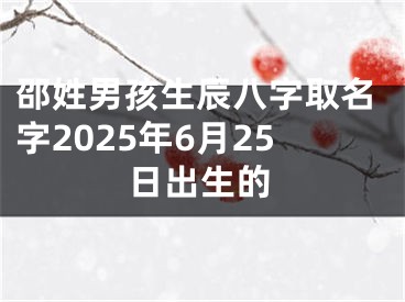 邵姓男孩生辰八字取名字2025年6月25日出生的