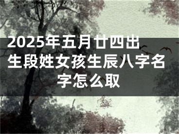 2025年五月廿四出生段姓女孩生辰八字名字怎么取