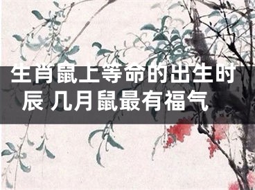 生肖鼠上等命的出生时辰 几月鼠最有福气