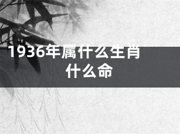 1936年属什么生肖什么命